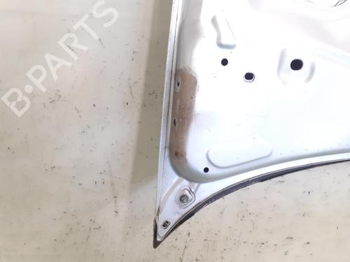 Hood FIAT GRANDE PUNTO (199_) 1.2 | BP26282977C1 