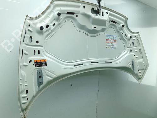 hood-fiat-500-312_-2007-39980708 main image