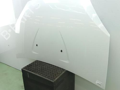 Used Hood Hood DACIA SANDERO 1.5 dCi (68 hp) 40055985 40055985