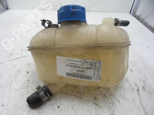 Used Expansion tank FIAT BRAVO II (198_) 1.9 D Multijet (198AXB1A) (120 hp) 24781239