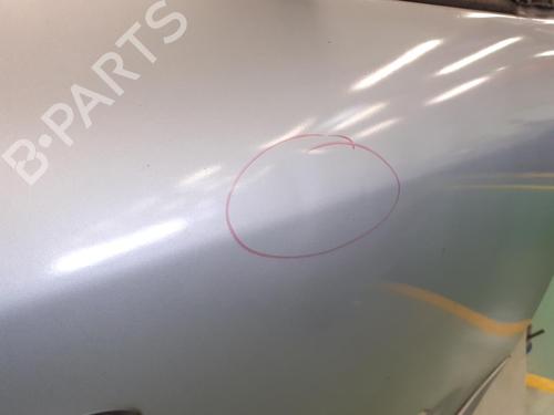 Right front door RENAULT MEGANE III Hatchback (BZ0/1_, B3_) 1.5 dCi (BZ1G, BZ1W, BZ0R) | BP24795567C3