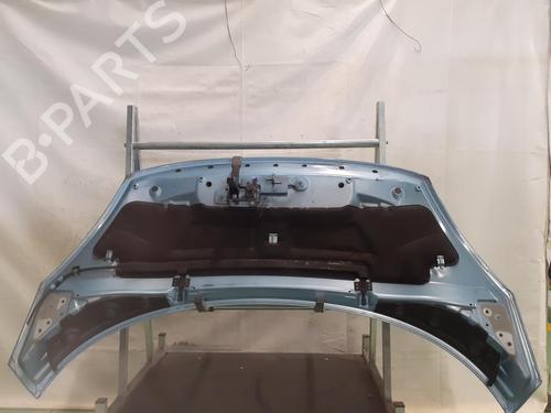 Hood RENAULT SCÉNIC III (JZ0/1_) 2.0 dCi (JZ0Y, JZ26) | BP24793243C1 