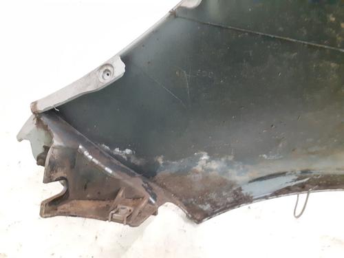 Right front fenders RENAULT CLIO III (BR0/1, CR0/1) 1.5 dCi (C/BR0G, C/BR1G) | BP28497290C42 