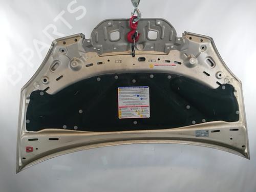 Hood LANCIA MUSA (350_) 1.3 D Multijet (350.AXM11, 350.AXM1A, 350.AXI1A) | BP28964372C1 