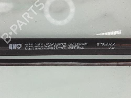 tailgate-lift-support-peugeot-208-i-ca_-cc_-2012-2013-2014-2015-2016-2017-2018-2019-2020-2021-28908318 main image
