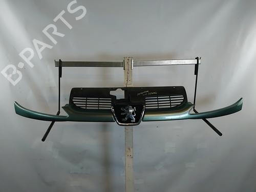 Used Grille PEUGEOT 206 Hatchback (2A/C) 2.0 HDI 90 (90 hp) 31335894