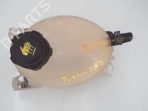 Used Expansion tank DACIA LODGY (JS_) 1.5 dCi (JSMC, JSAF) (107 hp) 25360261
