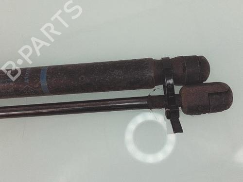 Gassdemper Bakluke RENAULT GRAND SCÉNIC II (JM0/1_) 1.9 dCi (JM14) | BP25362857C138 