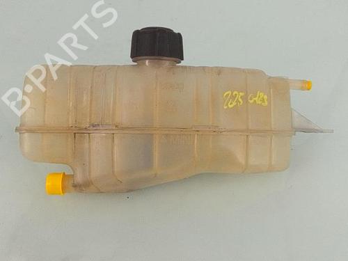 Used Expansion tank RENAULT MODUS / GRAND MODUS (F/JP0_) 1.2 16V (JP0W) (101 hp) 27284555