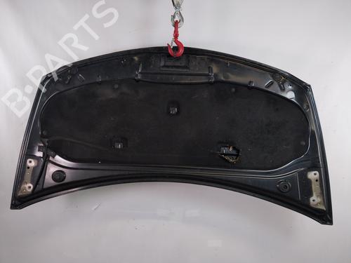 Hood RENAULT CLIO III (BR0/1, CR0/1) 1.5 dCi (C/BR0G, C/BR1G) | BP25371248C1 
