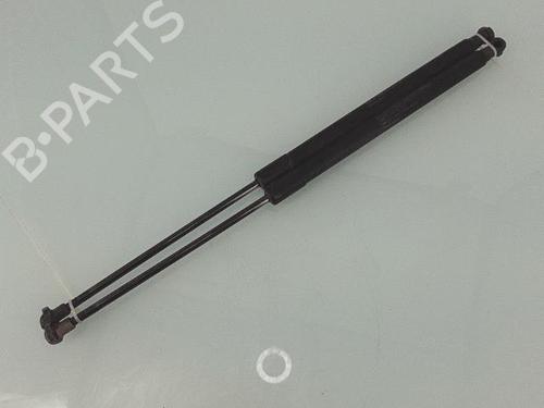 Tailgate lift support NISSAN QASHQAI I (J10, NJ10) 1.5 dCi | BP25359808C138