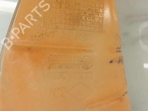 Expansion tank RENAULT CLIO III (BR0/1, CR0/1) 1.2 16V (BR02, BR0J, BR11, CR02, CR0J, CR11) | BP29178570C120 