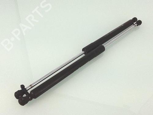 Gassdemper Bakluke RENAULT CLIO III (BR0/1, CR0/1) 1.5 dCi (C/BR0G, C/BR1G) | BP25353659C138 