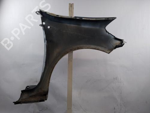 Left front fenders RENAULT CLIO III (BR0/1, CR0/1) 1.5 dCi (BR17, CR17) | BP25350028C41 