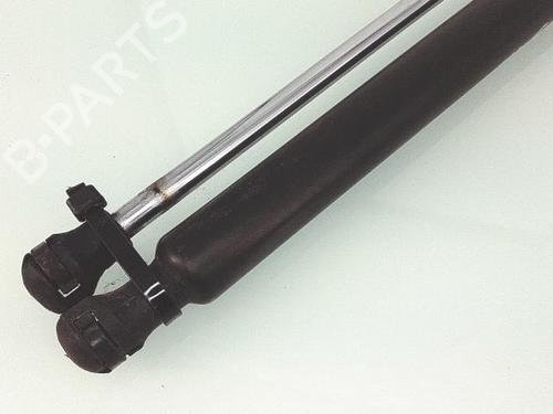 Gassdemper Bakluke RENAULT CLIO III (BR0/1, CR0/1) 1.5 dCi (C/BR0G, C/BR1G) | BP25353659C138 