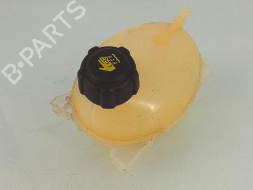 Used Expansion tank DACIA SANDERO II TCe 90 (B8M1, B8MA, B8AC) (90 hp) 27485242