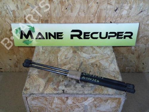 Used Tailgate lift support RENAULT CLIO II (BB_, CB_) 1.5 dCi (B/CB07) (65 hp) 25359715