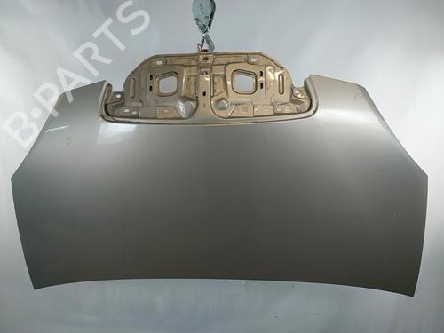 Used Hood LANCIA MUSA (350_) 1.3 D Multijet (350.AXM11, 350.AXM1A, 350.AXI1A) (95 hp) 28964372