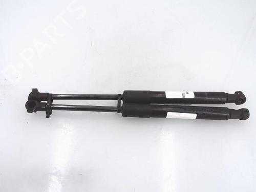 hood-lift-support-renault-scenic-iv-j9_-2016-2017-2018-2019-2020-2021-2022-25369065 main image