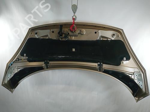 Hood RENAULT SCÉNIC III (JZ0/1_) 1.5 dCi (JZ02, JZ0R) | BP29434405C1 