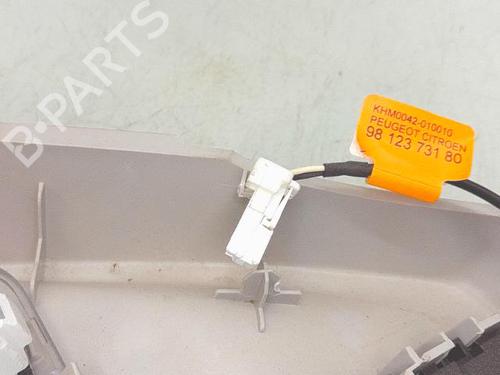 Interior roof light CITROËN C4 Picasso II 1.2 THP 110 | BP38767488I8 - Image 3