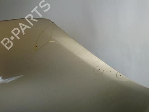Hood LANCIA MUSA (350_) 1.3 D Multijet (350.AXM11, 350.AXM1A, 350.AXI1A) | BP28964372C1 