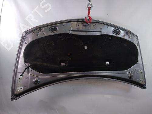 Hood RENAULT CLIO III (BR0/1, CR0/1) 1.5 dCi (C/BR0G, C/BR1G) | BP25362867C1 