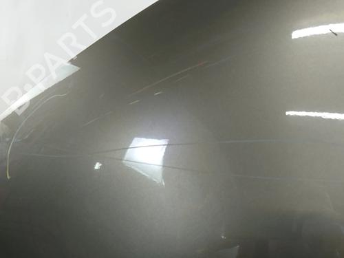 Left front fenders CITROËN C4 Picasso I MPV (UD_) 1.6 HDi | BP30157114C41