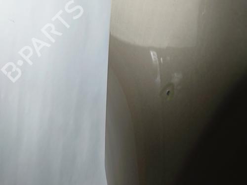 Hood RENAULT SCÉNIC III (JZ0/1_) 1.5 dCi (JZ02, JZ0R) | BP29434405C1 