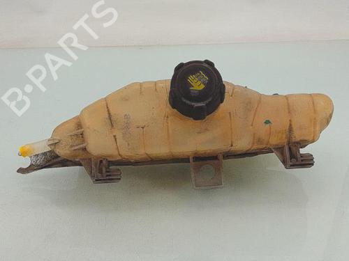 Used Expansion tank RENAULT MODUS / GRAND MODUS (F/JP0_) 1.5 dCi (JP0G, JP0H) (106 hp) 29154305