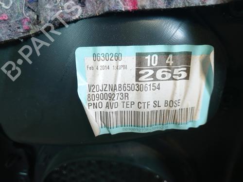 Front right panel RENAULT SCÉNIC III (JZ0/1_) 1.6 dCi (JZ00, JZ12) | BP30462401C59 - Image 2