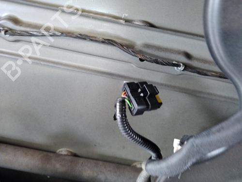 Left front door NISSAN QASHQAI I (J10, NJ10) 1.5 dCi | BP25368556C2 