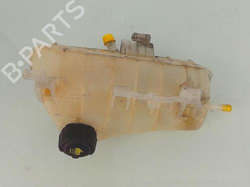 Used Expansion tank RENAULT KANGOO Express (FW0/1_) 1.5 dCi 90 (FW0G, FW05, FW08, FW11) (90 hp) 25701193