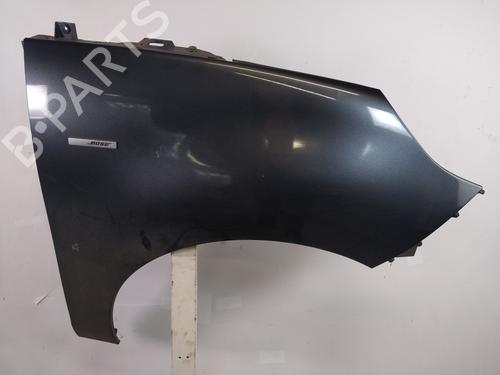 Used Right front fenders RENAULT SCÉNIC III (JZ0/1_) 1.5 dCi (110 hp) 25356708