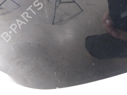 Left rear door RENAULT CLIO III (BR0/1, CR0/1) 1.5 dCi (C/BR0G, C/BR1G) | BP25360520C4 