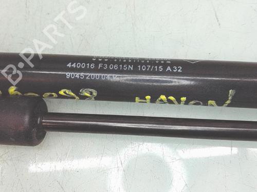 tailgate-lift-support-dacia-duster-hs_-2010-2011-2012-2013-2014-2015-2016-2017-2018-36336773 main image