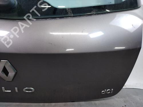 Tailgate RENAULT CLIO III (BR0/1, CR0/1) 1.5 dCi (C/BR0G, C/BR1G) | BP25362866C6