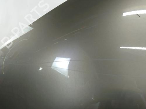 Left front fenders CITROËN C4 Picasso I MPV (UD_) 1.6 HDi | BP30157114C41