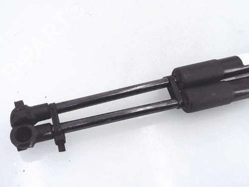 Used Hood lift support RENAULT SCÉNIC IV (J9_) 1.2 TCe 130 (130 hp) 25369065