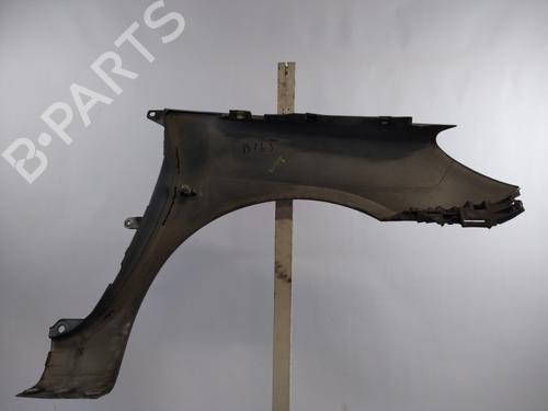 Left front fenders PEUGEOT 307 (3A/C) 2.0 HDi 110 | BP25349697C41 