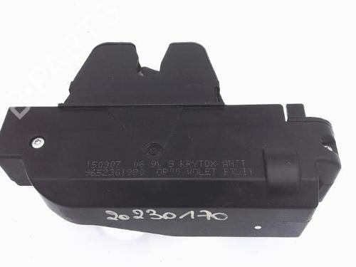 Used Tailgate lock PEUGEOT 307 (3A/C) 1.6 HDi (90 hp) 25358080