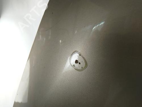 Hood RENAULT SCÉNIC III (JZ0/1_) 1.5 dCi (JZ02, JZ0R) | BP29434405C1 