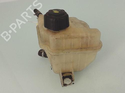 Expansion tank NISSAN QASHQAI / QASHQAI +2 I (J10, NJ10, JJ10E) 1.5 dCi | BP25359833C120 