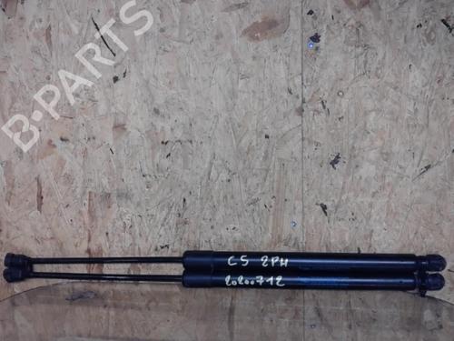 tailgate-lift-support-citroen-c5-iii-break-rw_-2008-2009-2010-2011-2012-2013-2014-2015-2016-2017-25373585 main image