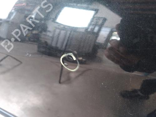 Left rear door RENAULT CLIO III (BR0/1, CR0/1) 1.5 dCi (C/BR0G, C/BR1G) | BP25360520C4 