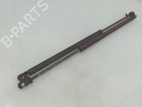Tailgate lift support SMART FORFOUR (454) 1.1 (454.033) | BP37661451C138 - Image 3