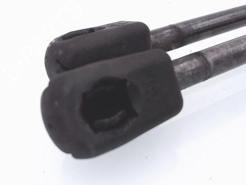 Gasdæmper bagklap RENAULT SCÉNIC II (JM0/1_) 1.9 dCi (JM0G, JM12, JM1G, JM2C) (120 hp) 25372043