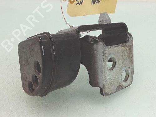 hingedoor-check-strap-peugeot-207-wa_-wc_-2006-2007-2008-2009-2010-2011-2012-2013-2014-2015-31330793 main image