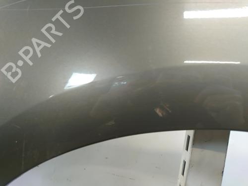 Left front fenders CITROËN C4 Picasso I MPV (UD_) 1.6 HDi | BP30157114C41