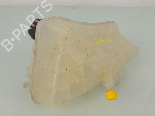 Expansion tank RENAULT KANGOO Express (FW0/1_) Z.E. (FW0Z, FW1Z) | BP25371003C120 